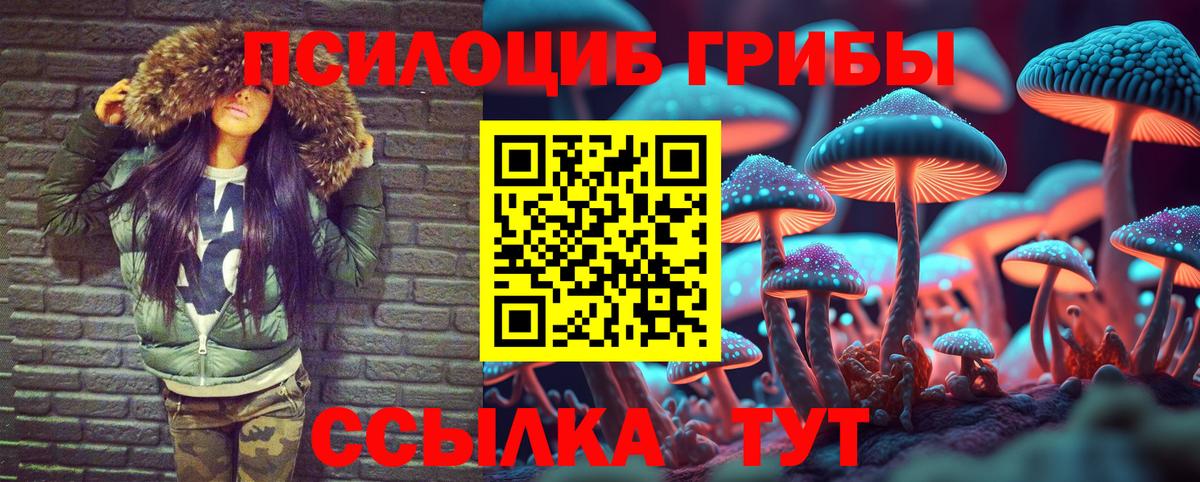 Бирск  Псилоцибиновые грибы MAGIC MUSHROOMS  Вход с VPN 